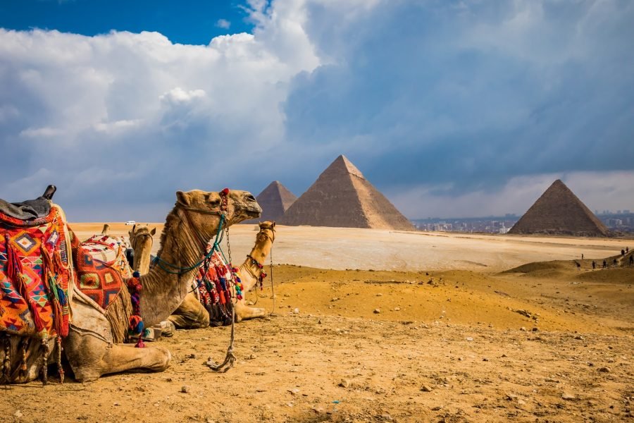 Cairo bus