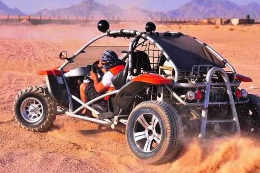 Buggy safari double